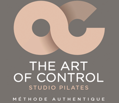 THE ART OF CONTROL